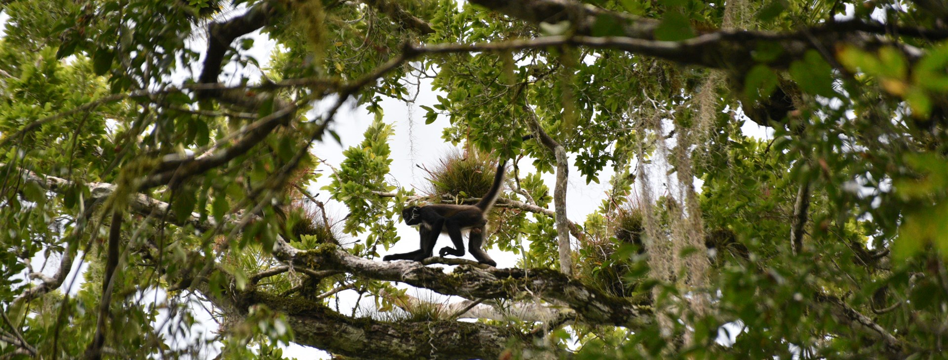 Guatemala, Honduras a Belize