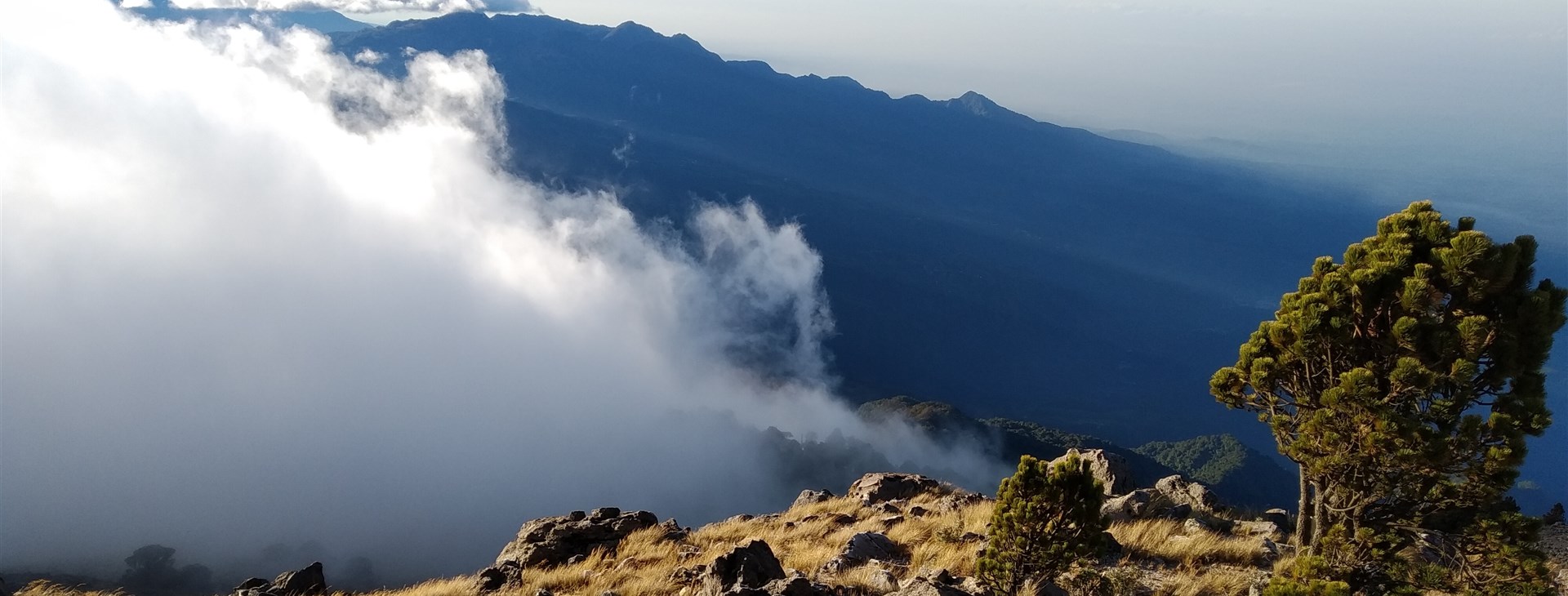 Guatemala, Honduras a Belize