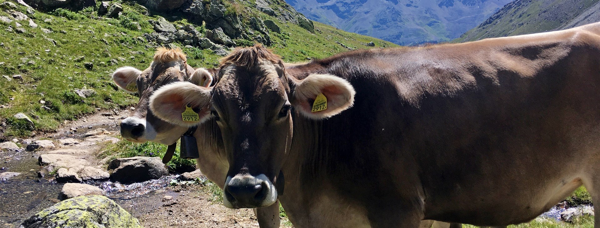 Autor: Hana Mičulková