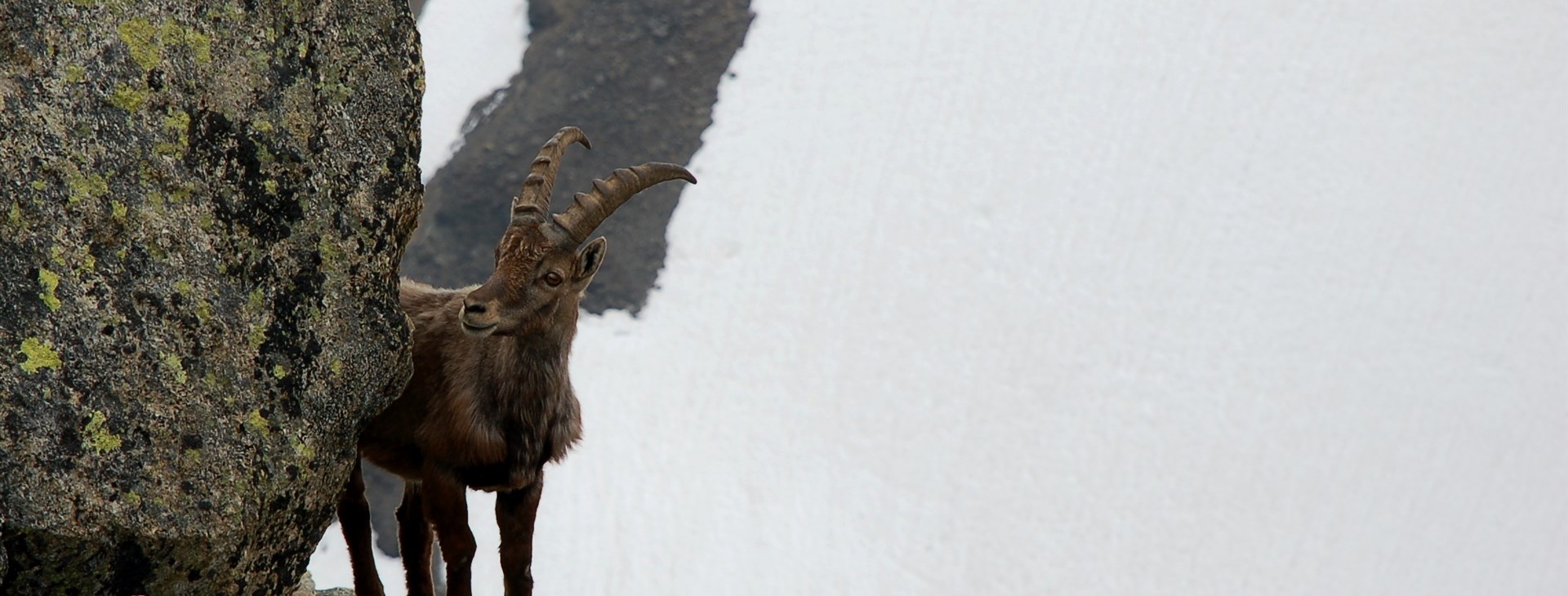 Autor: Tomáš Ochma Procházka