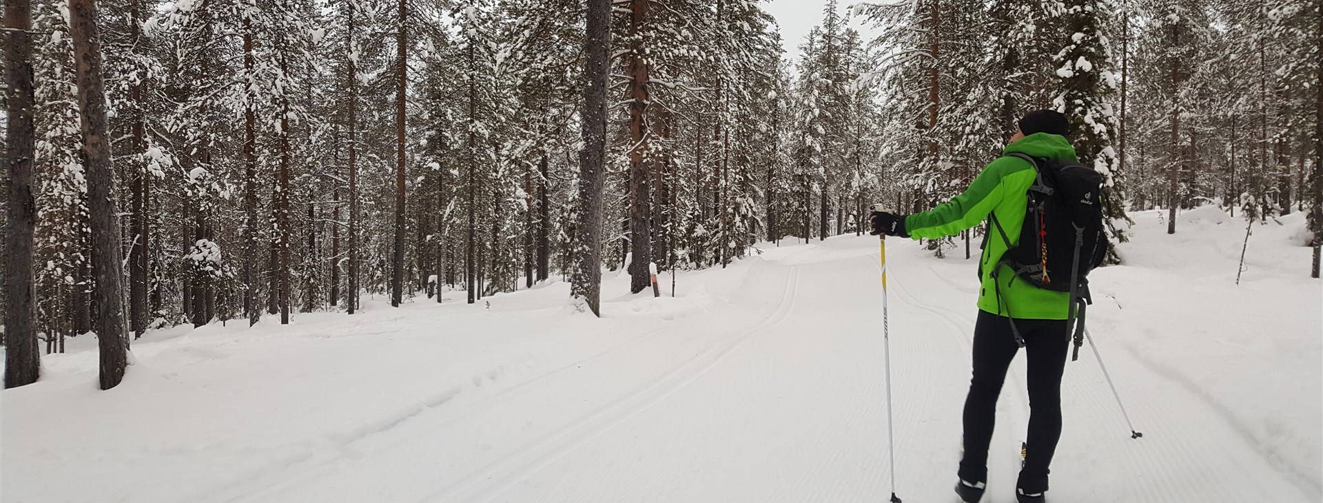 King´s trail - Laponskem na běžkách