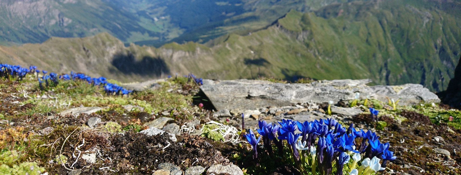 Autor: Aleš Linhart