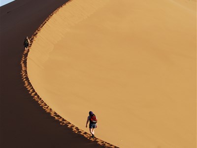 ONLINE - Neobvyklá turistika - pralesy, pouště a velehory Afriky, Asie, Ameriky, ...