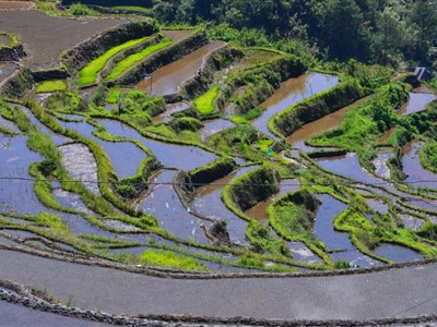 ONLINE - Filipíny - Tichý oceán, tisíce ostrovů, krev a písek
