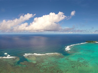 ONLINE - Půvaby jižního Tichomoří