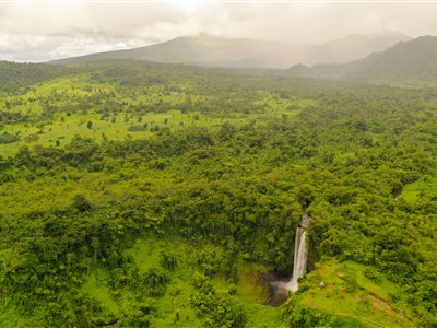 ONLINE - Půvaby jižního Tichomoří