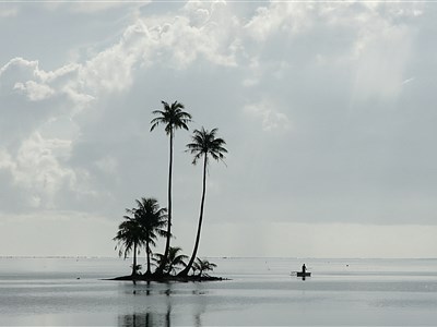 ONLINE - Půvaby jižního Tichomoří