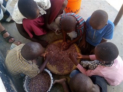 ONLINE - Tři měsíce učitelkou v Tanzánii a jiné taškařice