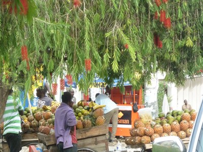 ONLINE - Tři měsíce učitelkou v Tanzánii a jiné taškařice