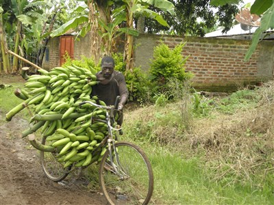 ONLINE - Tři měsíce učitelkou v Tanzánii a jiné taškařice