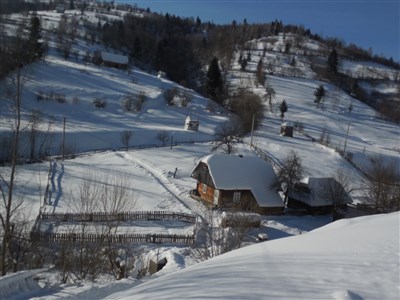 ONLINE: Zimní karpatské koloveselosti