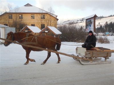 ONLINE: Zimní karpatské koloveselosti