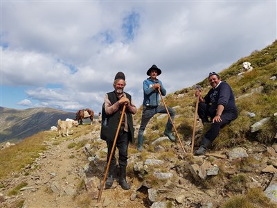 ONLINE - Přechod karpatského oblouku