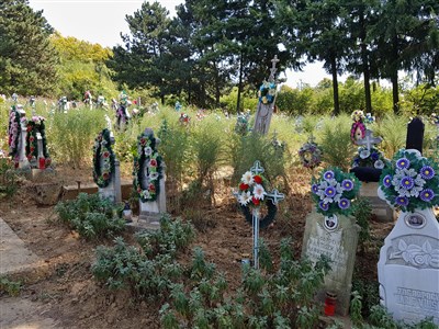 ONLINE - Přechod karpatského oblouku