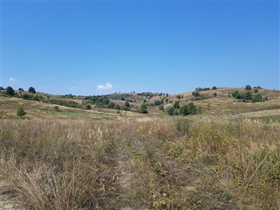 ONLINE - Přechod karpatského oblouku