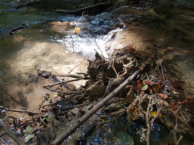 ONLINE - Přechod karpatského oblouku