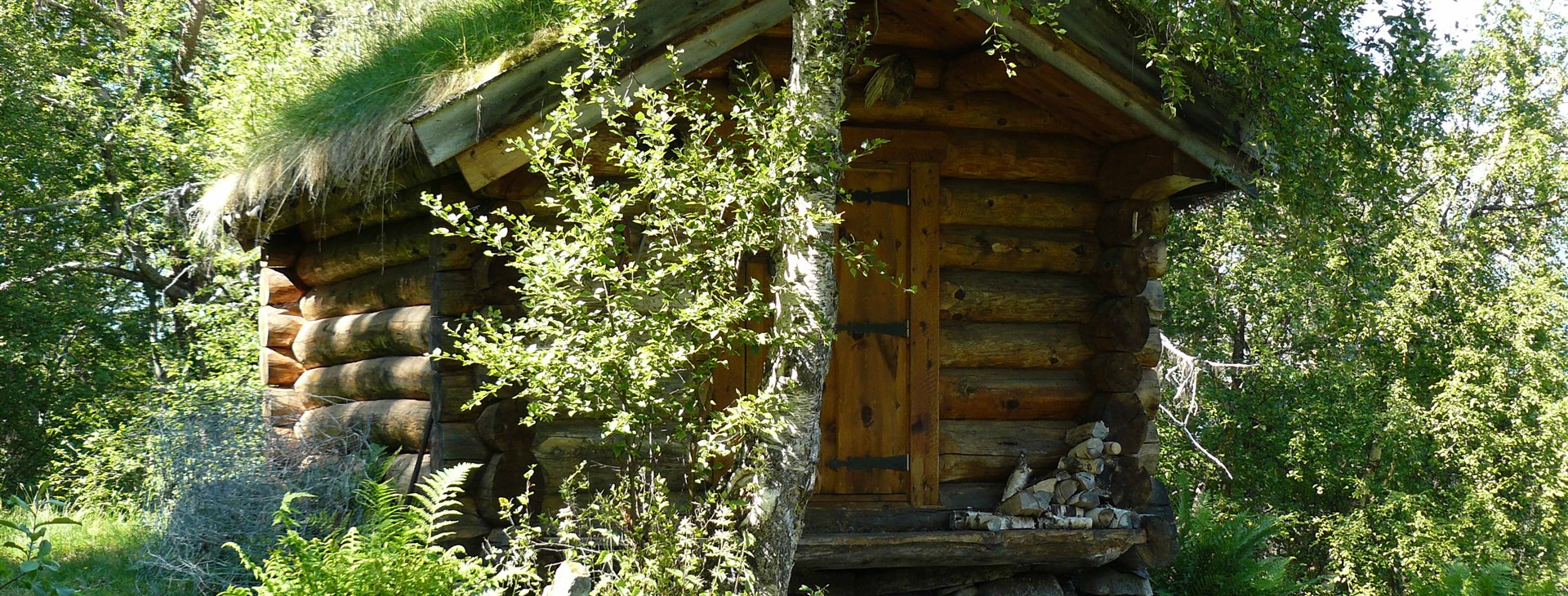 Foto: Šárka Koeningová