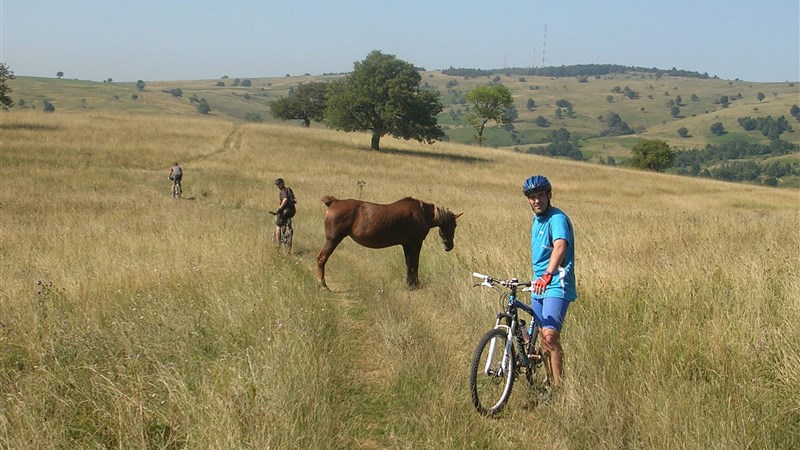 Rumunský i srbský Banát