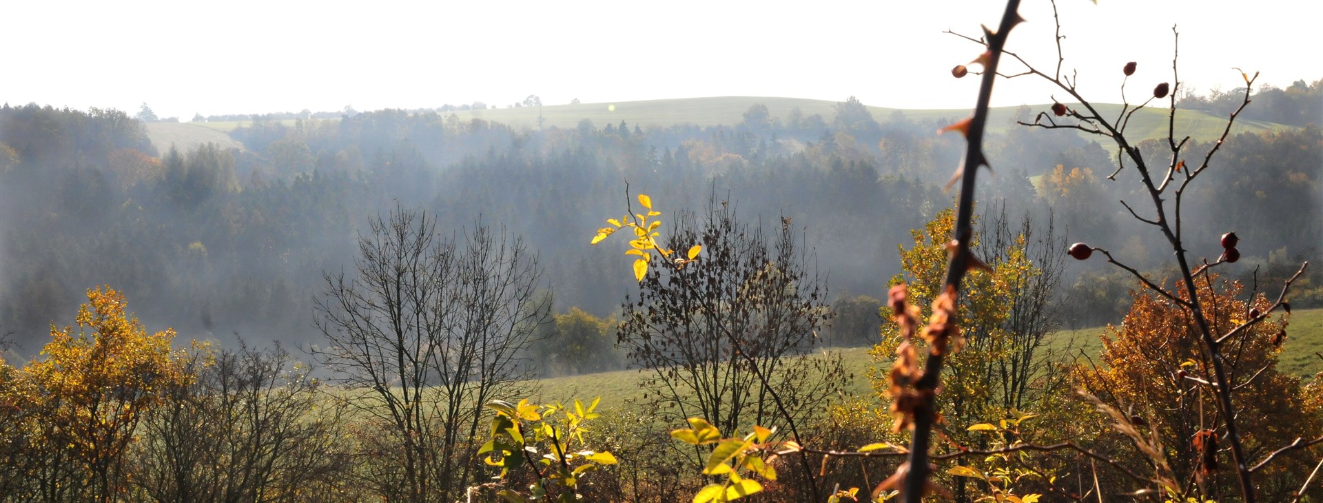 Keltské stopy na Moravě