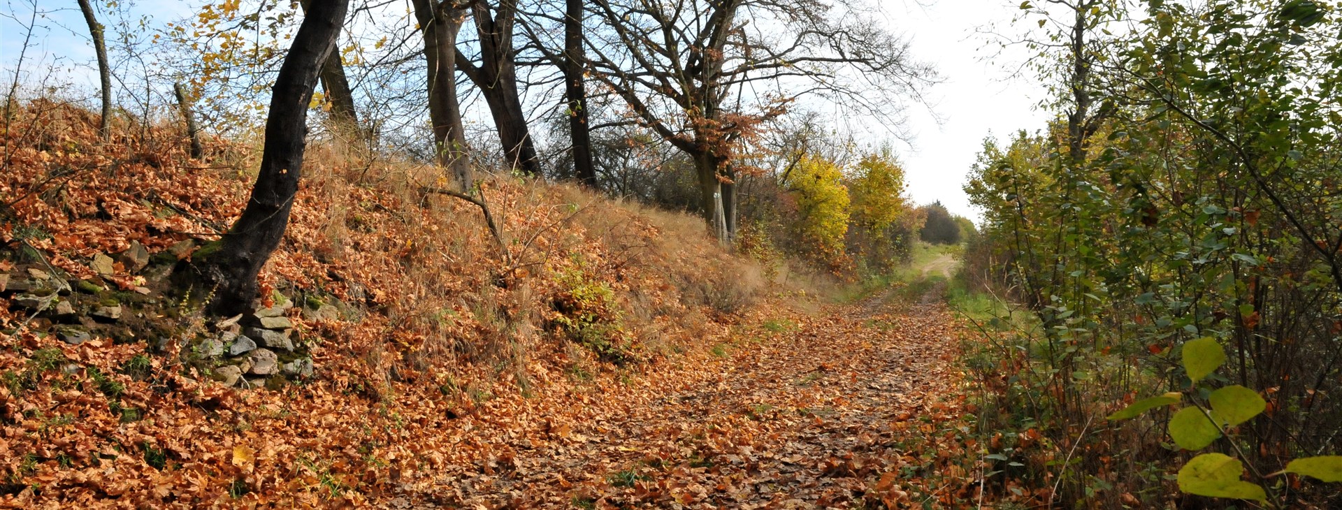 Keltské stopy na Moravě