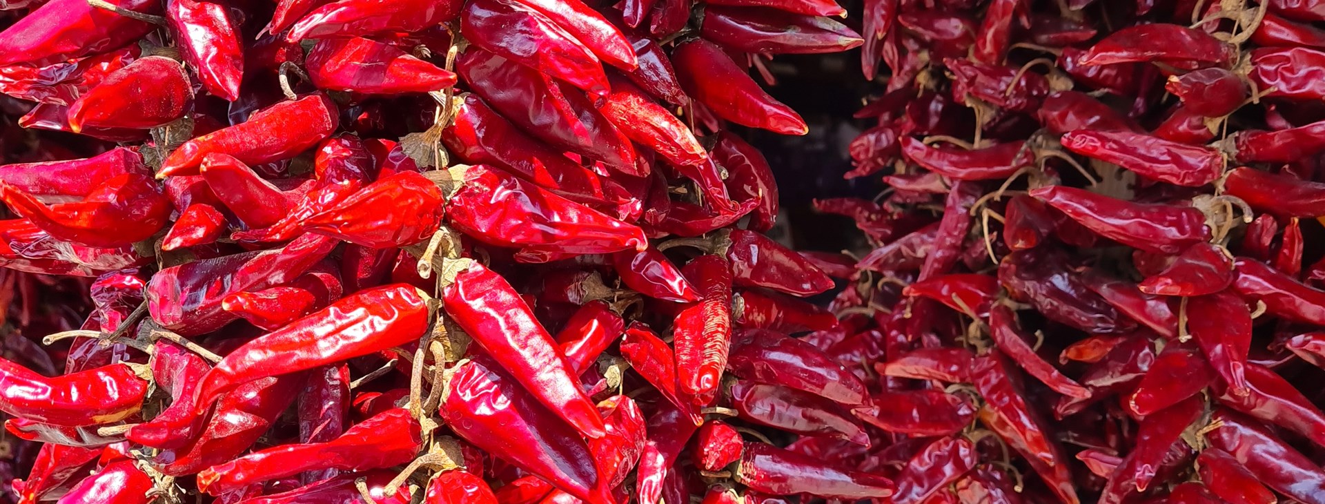 Balatonské cyklotoulky