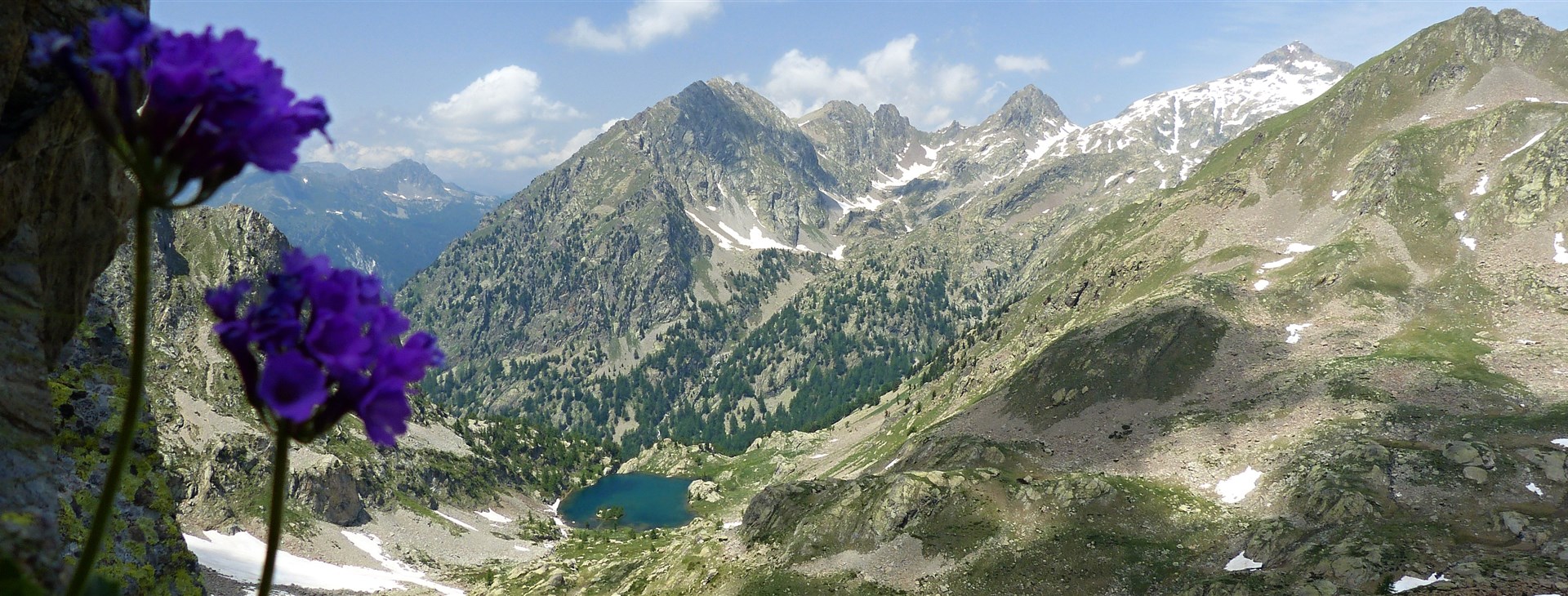 Cesta do francouzské říše zvířat