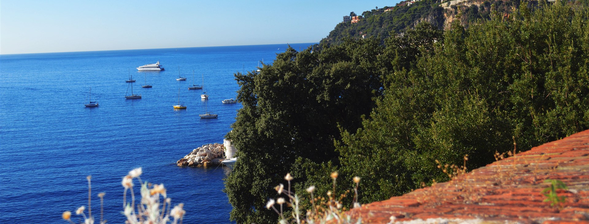 Cesta do francouzské říše zvířat