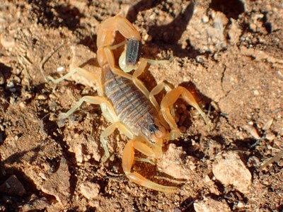 Jordánsko  - Svatá země