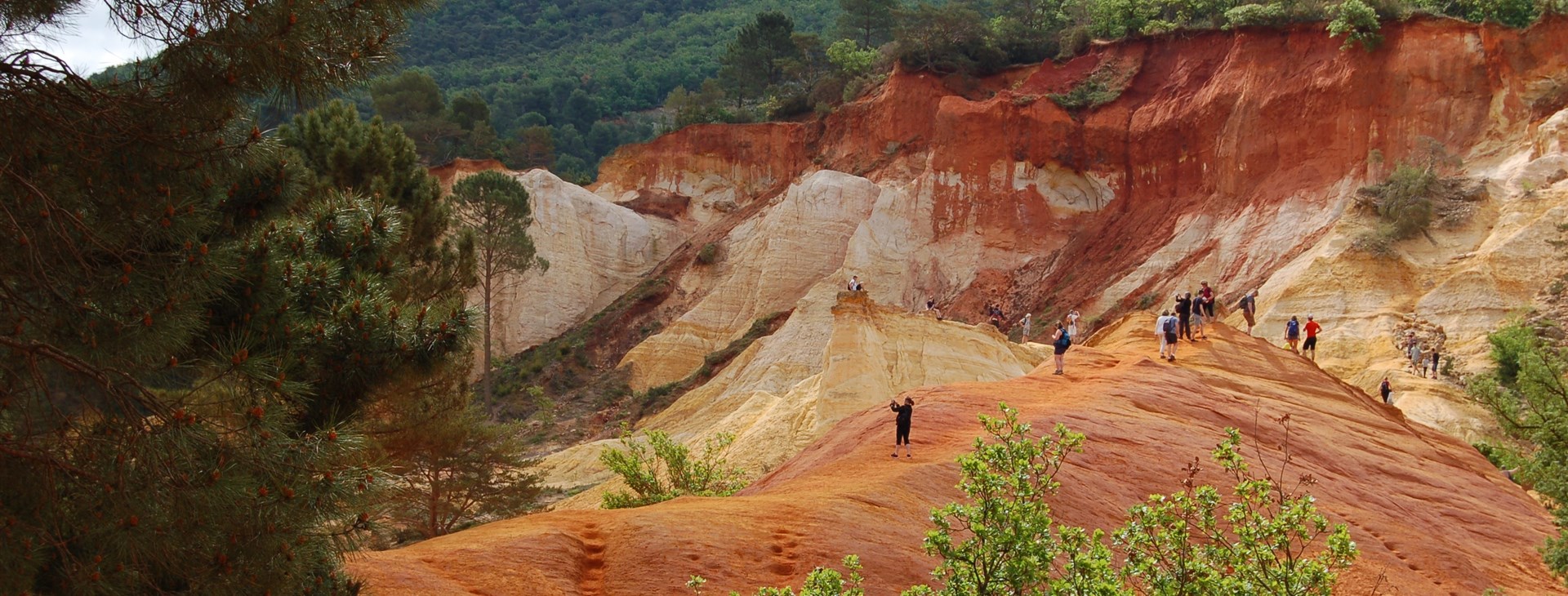 Autor: Tomáš Ochma Procházka