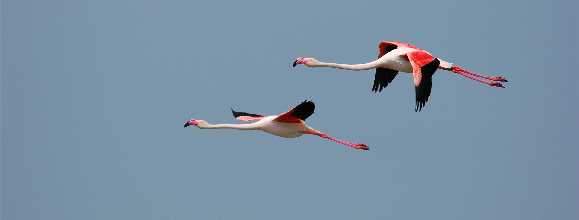 Autor: Tomáš Ochma Procházka