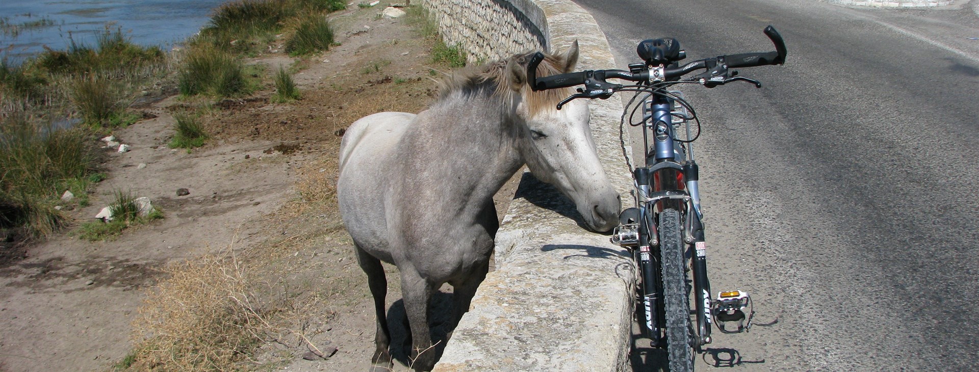 Autor: Zdeněk Hobbo Tocháček