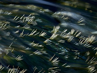 ONLINE: Venezuela - do nitra ztraceného světa