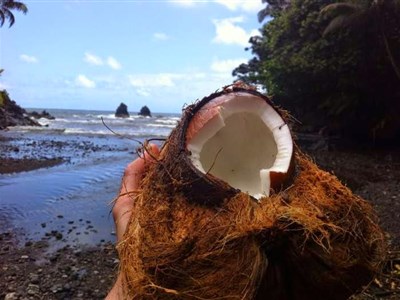 ONLINE - Stopařův průvodce zeměkoulí