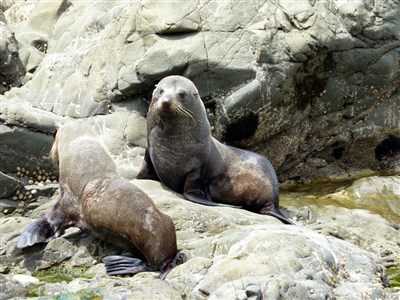 ONLINE - Stopařův průvodce zeměkoulí