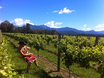 ONLINE - Stopařův průvodce zeměkoulí