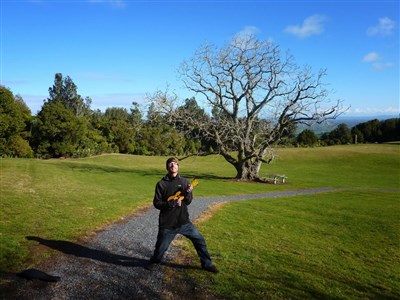 ONLINE - Stopařův průvodce zeměkoulí