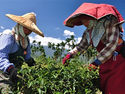 Online - Přírodní krásy/klenoty sedmimilionové metropole Taipei a jeho pestrého okolí