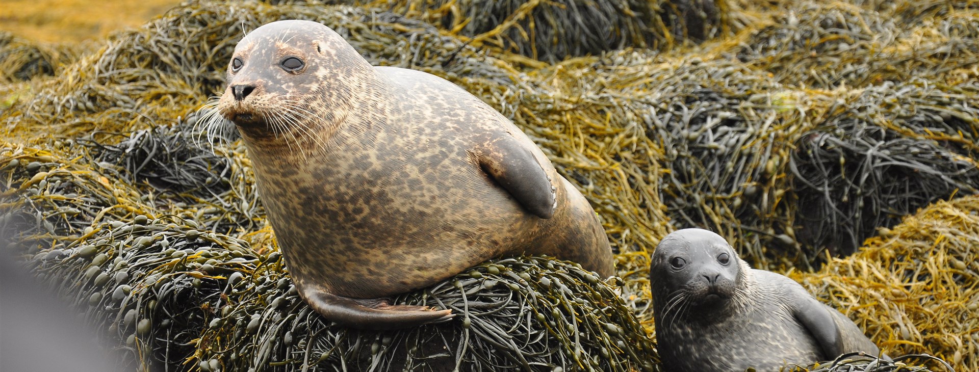 Autor: Martin Hájek