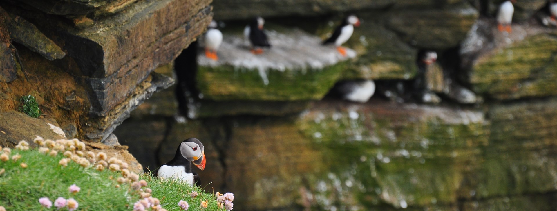 Autor: Martin Hájek