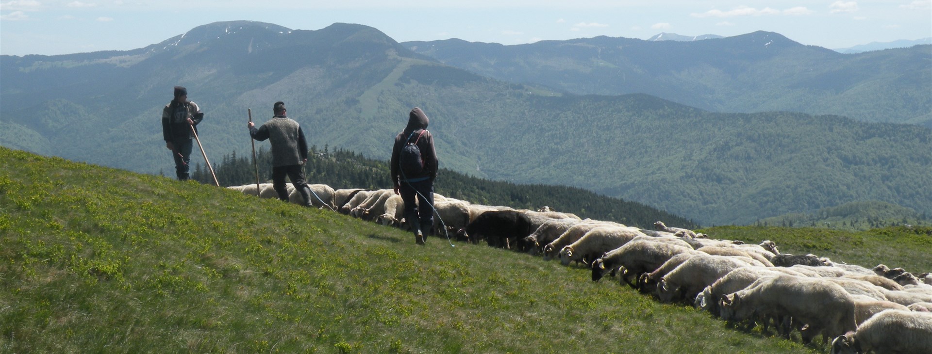 Autor: Martin Mitáš