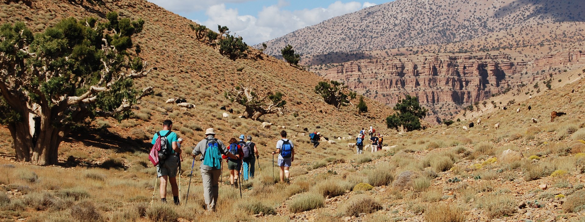 Autor: Dalibor Mahel