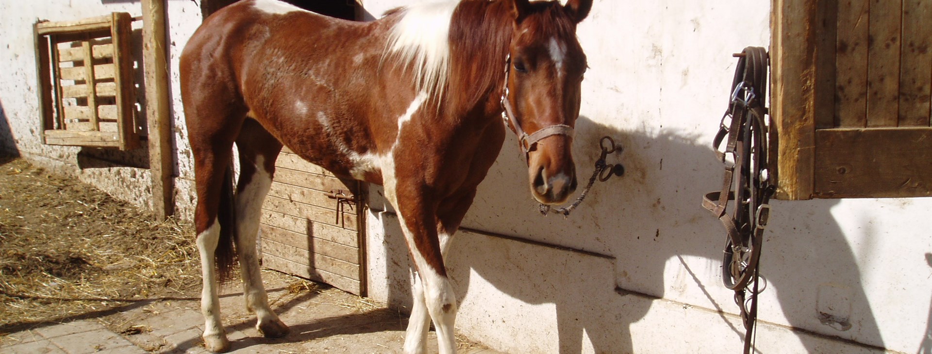Putování na koních - Český ráj