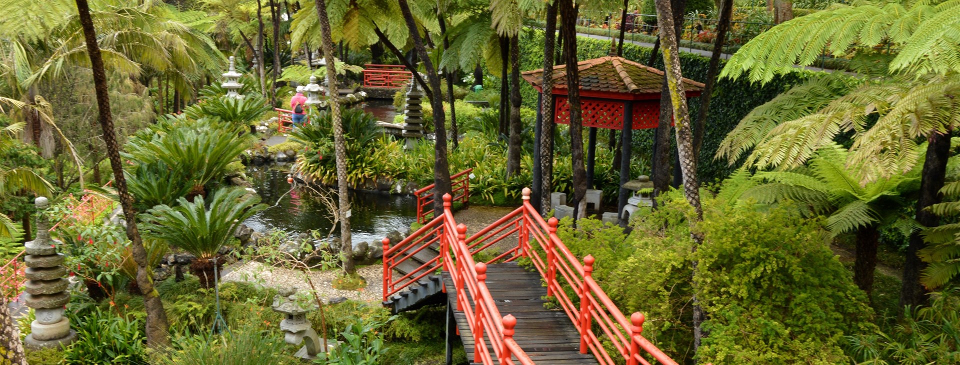 Madeira - jarní túry