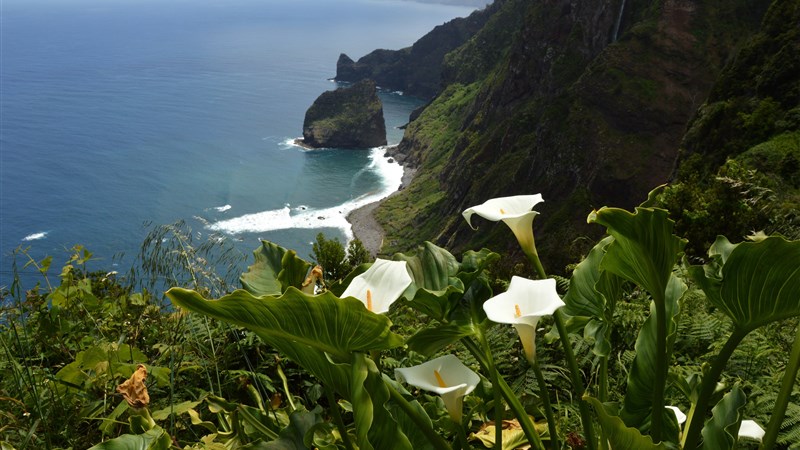 Madeira - jarní túry