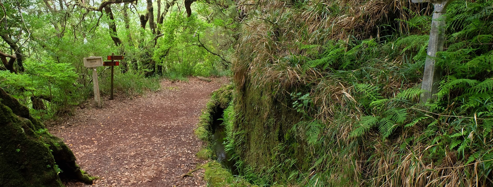 Madeira - jarní túry