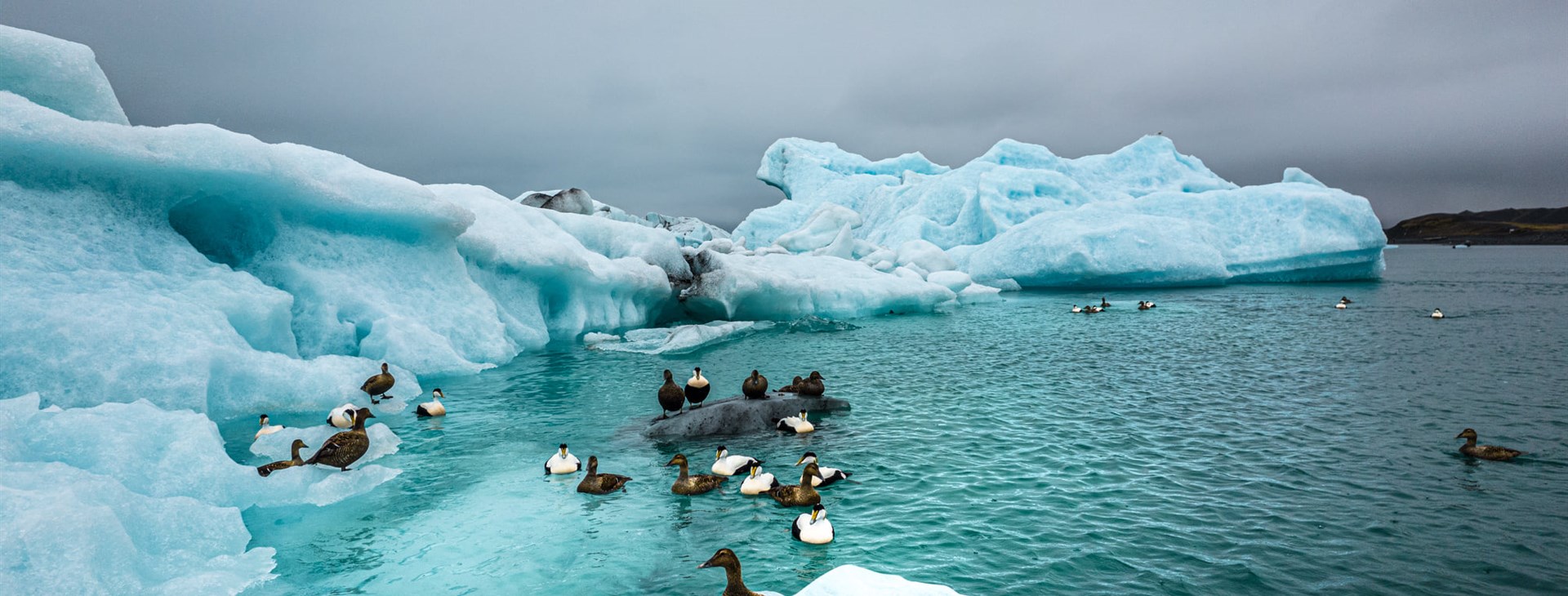 Island - fotoexpedice do země ledu a ohně