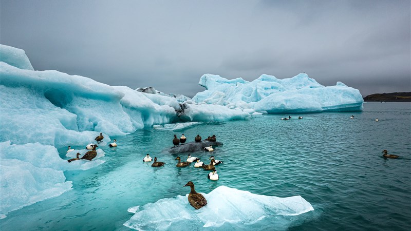 Island - fotoexpedice do země ledu a ohně