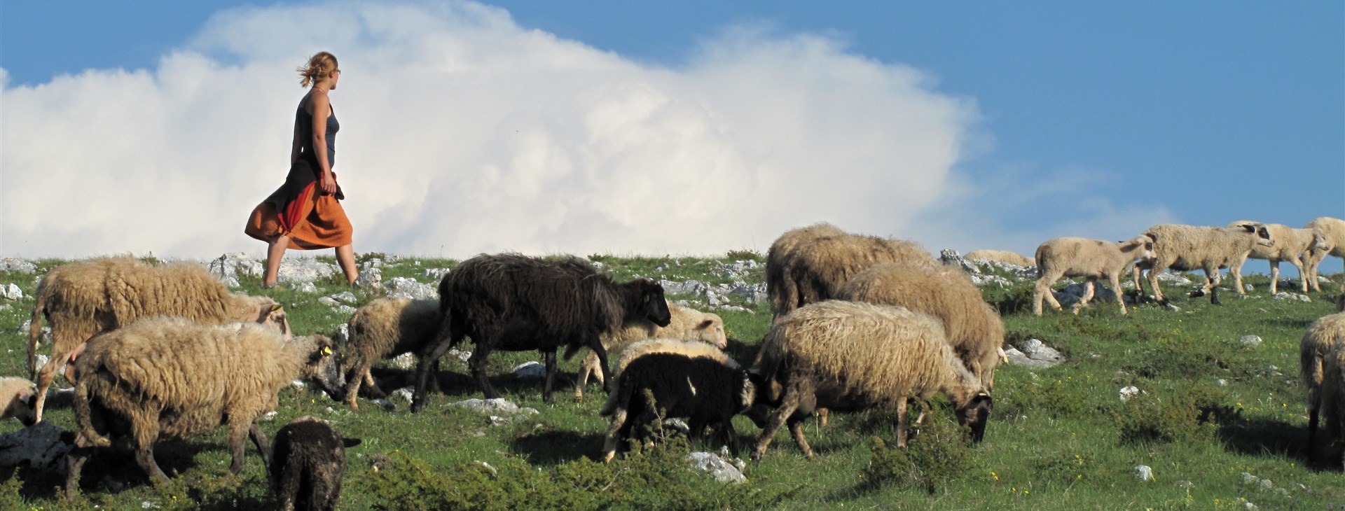 Štíty hor Balkánu