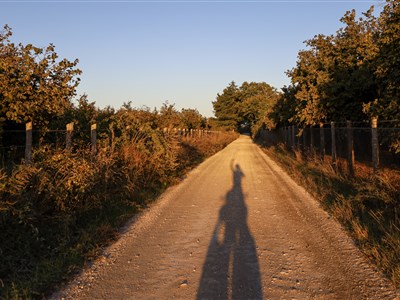 ITÁLIE - Via Francigena ... všechny cesty vedou do Říma - i na koloběžce (NAŽIVO i ONLINE)