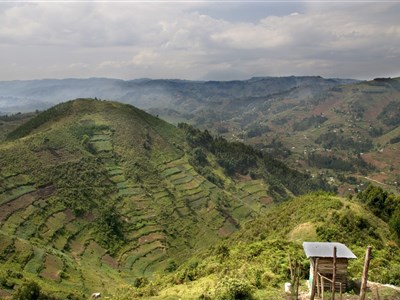 AFRIKA - Uganda & okolní země + Bwindi Orphans
